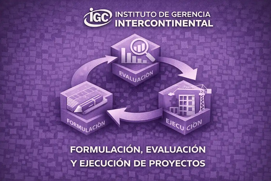 Imagen de Formulación, Evaluación y Ejecución de Proyectos